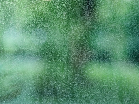 window cleaning loveland colorado